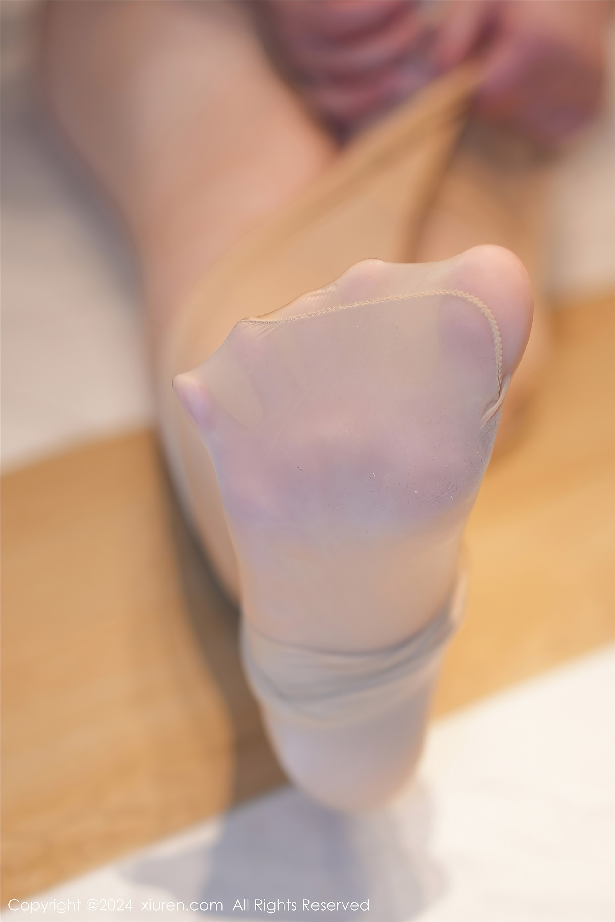 Xiuren秀人网 2024.02.02 NO.8052 妲己_Toxic